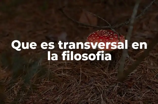 Que es Transversal en la Filosofia