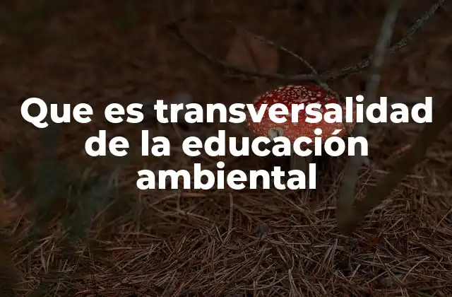 Que es Transversalidad de la Educación Ambiental