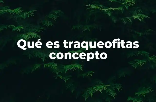 Qué es Traqueofitas Concepto