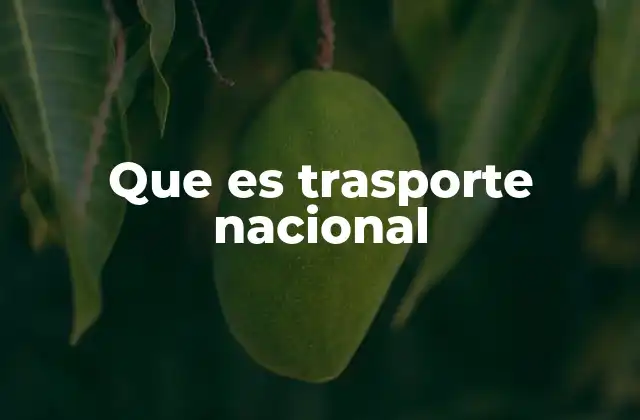 Que es Trasporte Nacional