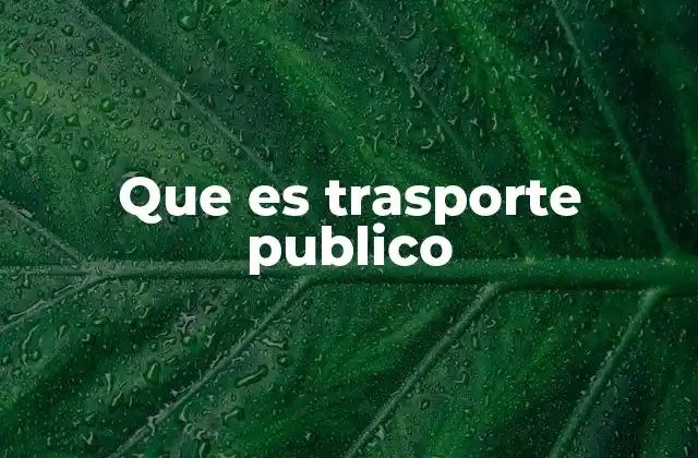Que es Trasporte Publico