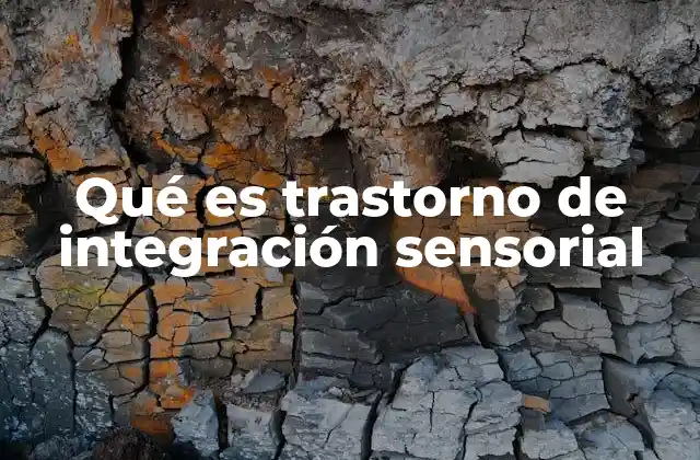 Qué es Trastorno de Integración Sensorial