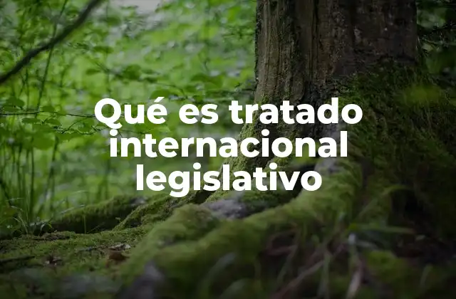 Qué es Tratado Internacional Legislativo
