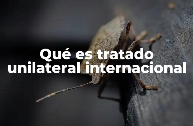 Qué es Tratado Unilateral Internacional 2 El papel de los tratados unilaterales en el derecho internacional