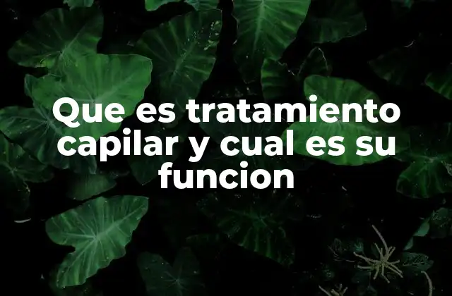 Que es Tratamiento Capilar y Cual es Su Funcion