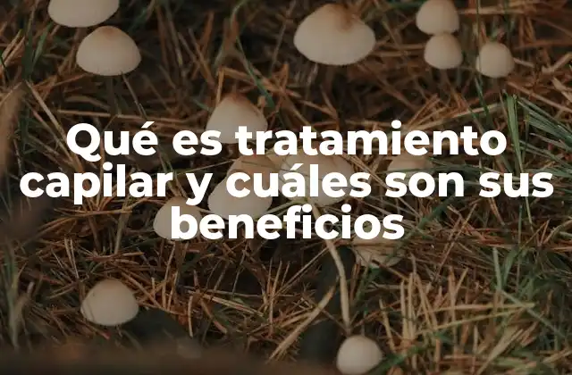 Qué es Tratamiento Capilar y Cuáles Son Sus Beneficios