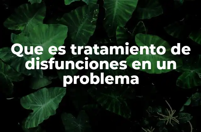 Que es Tratamiento de Disfunciones en un Problema