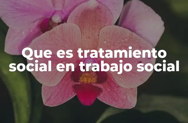 Que es Tratamiento Social en Trabajo Social