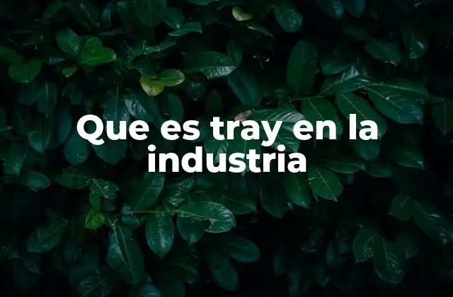 Que es Tray en la Industria