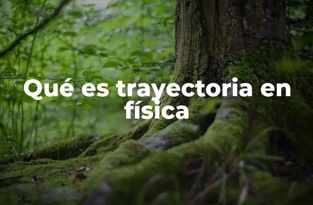 Qué es Trayectoria en Física