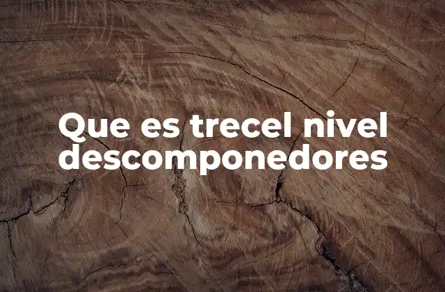 Los descomponedores como pieza clave en la cadena trófica