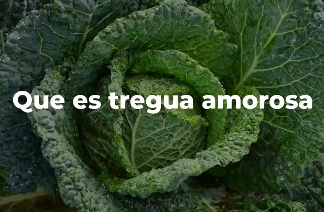 Que es Tregua Amorosa