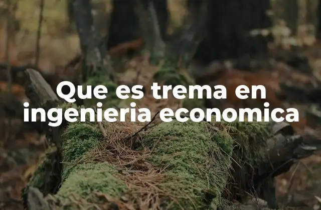 Que es Trema en Ingenieria Economica