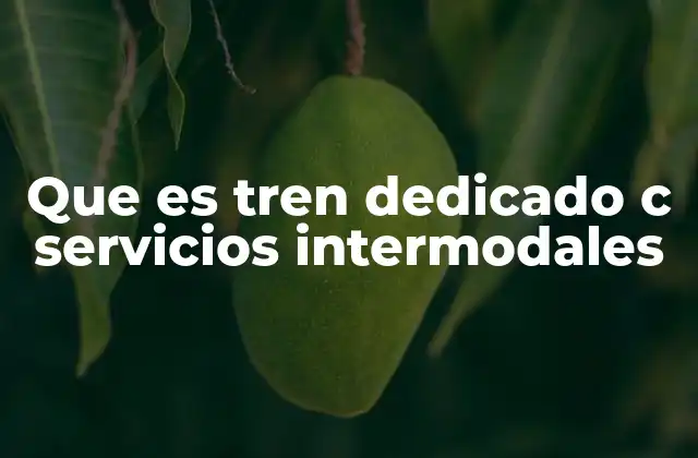 Que es Tren Dedicado C Servicios Intermodales