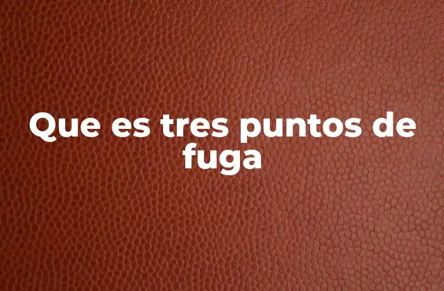 Que es Tres Puntos de Fuga