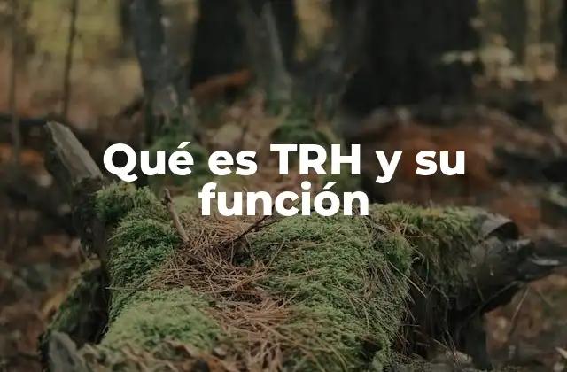 Qué es Trh y Su Función