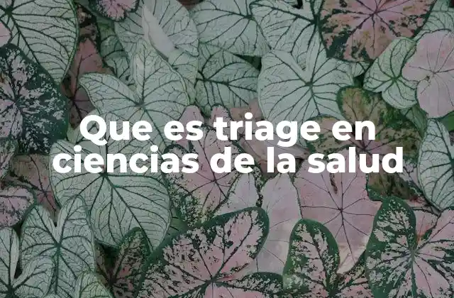 Que es Triage en Ciencias de la Salud