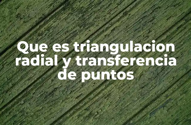 Que es Triangulacion Radial y Transferencia de Puntos