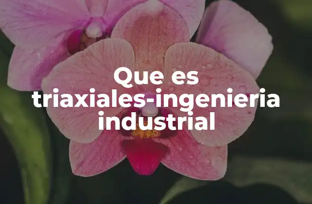 Aplicación de los sistemas triaxiales en la ingeniería industrial