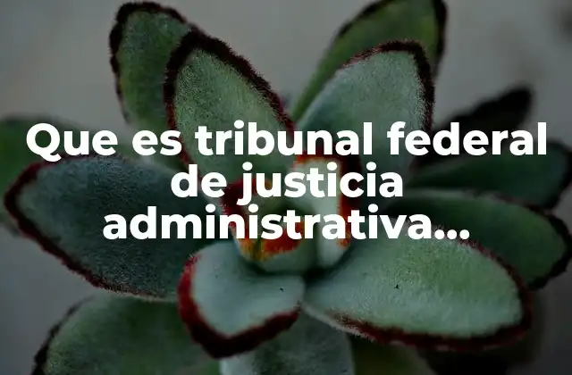 Que es Tribunal Federal de Justicia Administrativa Jurisprudencia