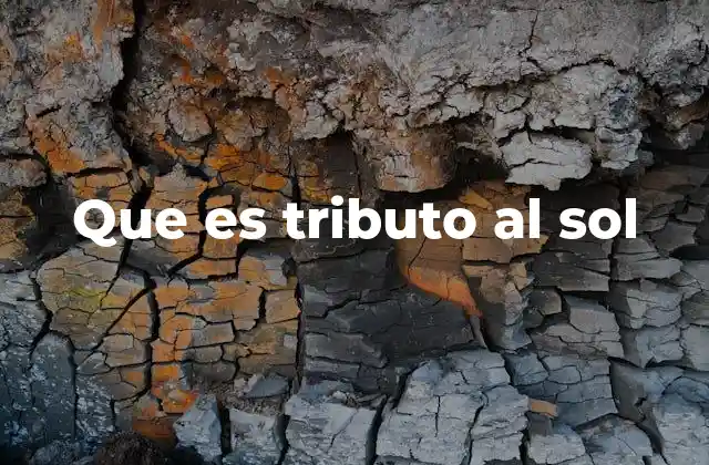 Que es Tributo Al Sol
