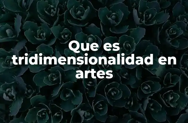 Que es Tridimensionalidad en Artes