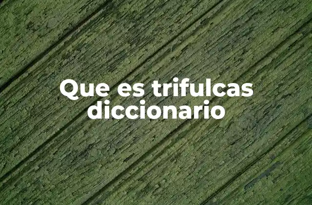 Que es Trifulcas Diccionario