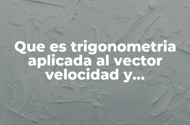 La importancia de la trigonometría en el análisis vectorial