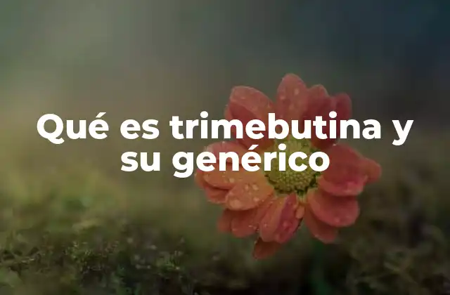 Qué es Trimebutina y Su Genérico 2 El papel de la trimebutina en el sistema digestivo