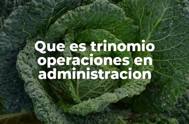 El trinomio como herramienta conceptual en la toma de decisiones operativas
