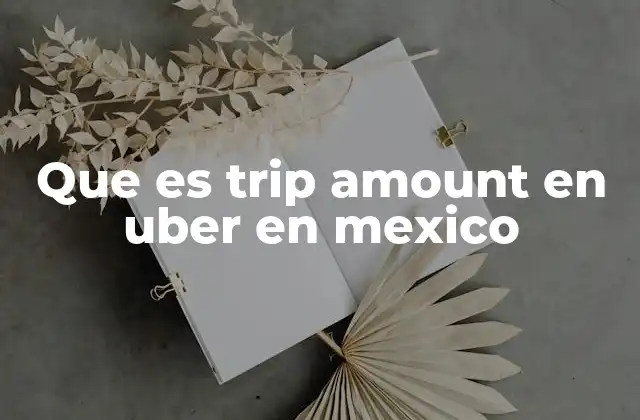 Que es Trip Amount en Uber en Mexico