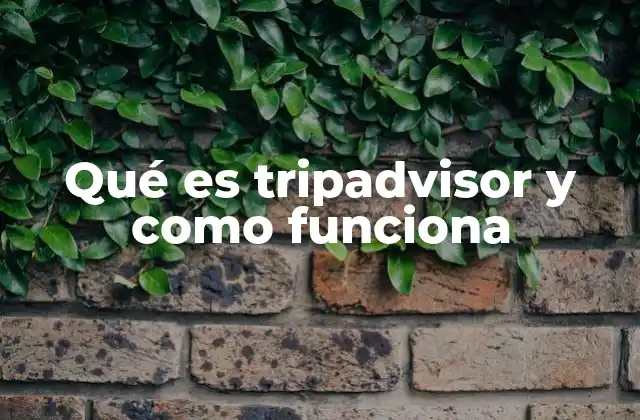 Qué es Tripadvisor y como Funciona