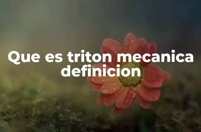 Que es Triton Mecanica Definicion