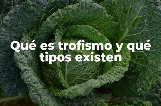 Qué es Trofismo y Qué Tipos Existen