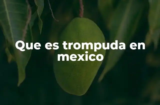 Que es Trompuda en Mexico