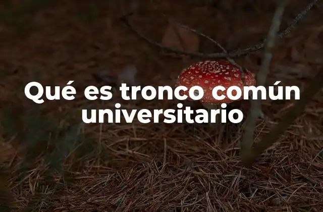 Qué es Tronco Común Universitario