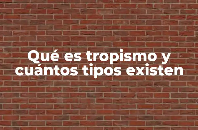 Qué es Tropismo y Cuántos Tipos Existen