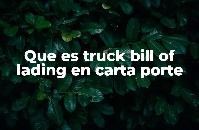 Que es Truck Bill Of Lading en Carta Porte