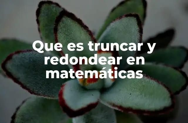 Que es Truncar y Redondear en Matemáticas