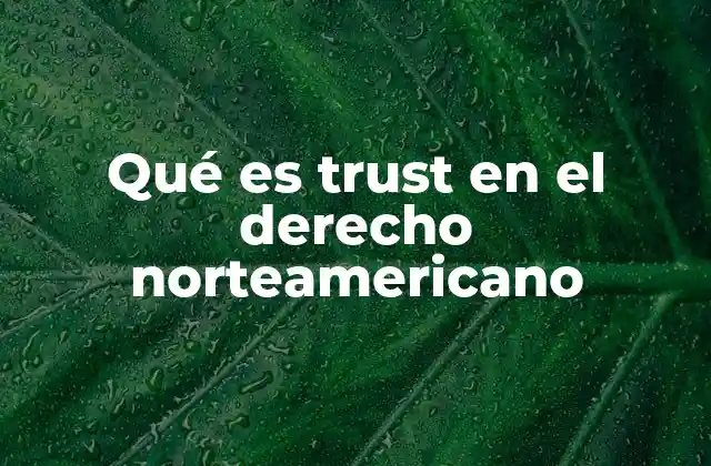 Qué es Trust en el Derecho Norteamericano 2 El origen y evolución del trust en Estados Unidos