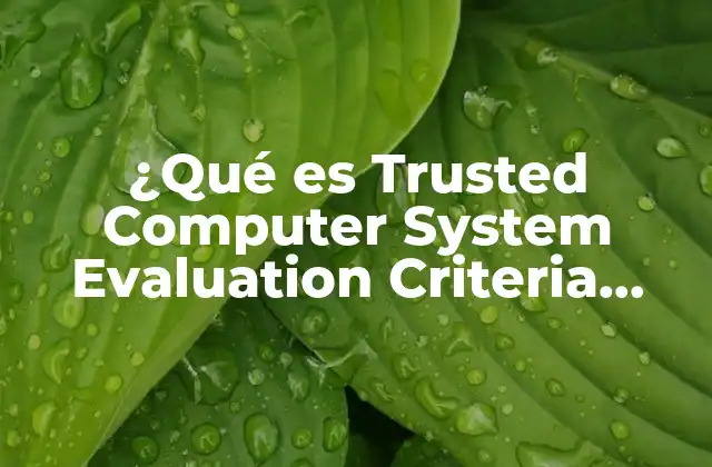 ¿qué es Trusted Computer System Evaluation Criteria Tcsec? 2 La evolución de los criterios de evaluación de seguridad informática