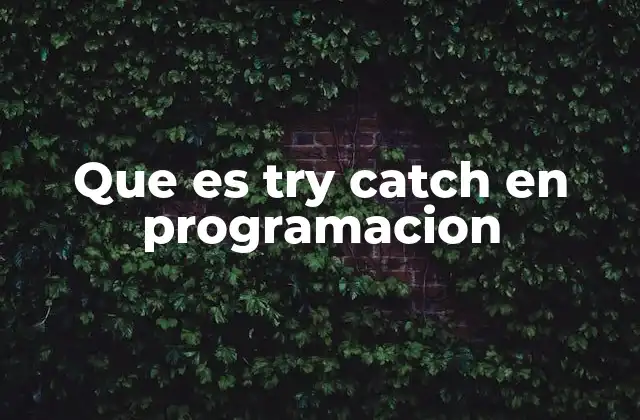 El manejo de errores en la programación moderna