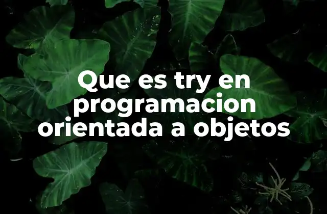 Que es Try en Programacion Orientada a Objetos