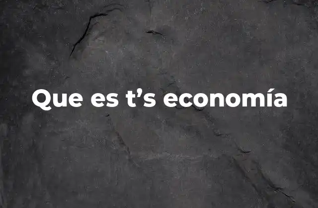 Que es T’s Economía