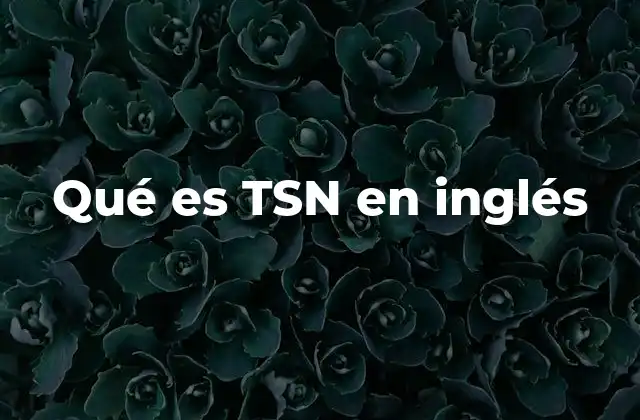 Qué es Tsn en Inglés