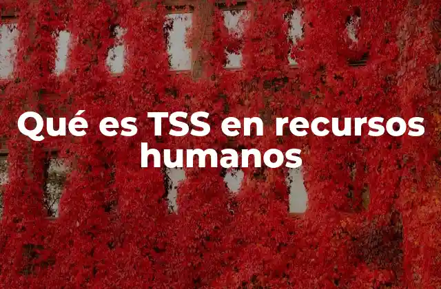 Qué es Tss en Recursos Humanos 2 El papel del TSS en la administración laboral