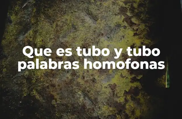 Que es Tubo y Tubo Palabras Homofonas