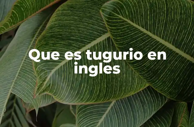 Que es Tugurio en Ingles