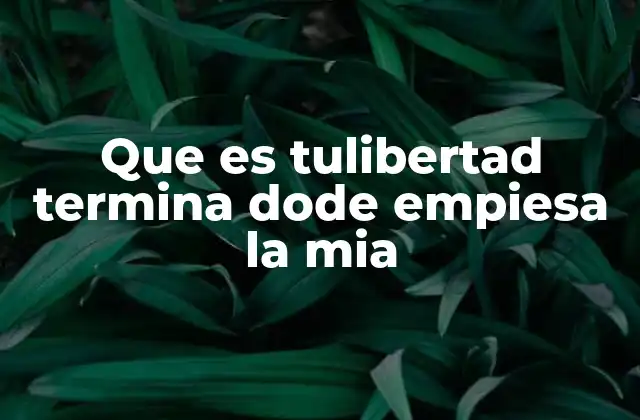 Que es Tulibertad Termina Dode Empiesa la Mia 2 El equilibrio entre libertad individual y colectiva