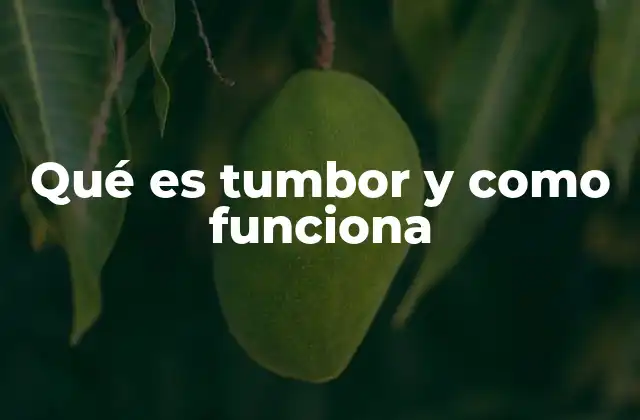Qué es Tumbor y como Funciona